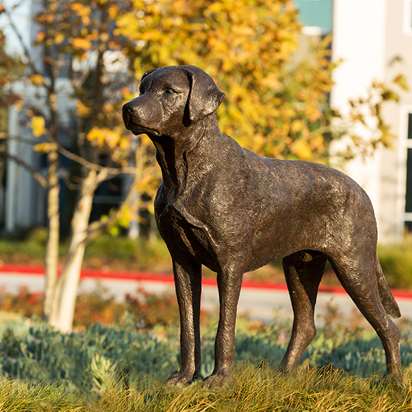 Watson Honors The City Of Chino’s Dairy Heritage - Watson Land Company